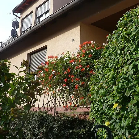 Ferienhaus Les Perles Du Vignoble Bennwihr
